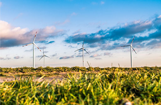 CSR・カーボンオフセット イメージ